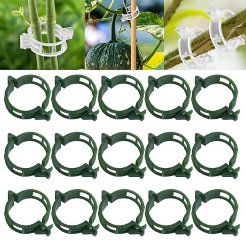 Gesicherte Pflanzen Kunststoff Clips, 2025 Neue Pflanzenclips, kleine Pflanzenklammern für Kletterpflanzen, Premium Tomatenklammern Pflanzenstütze für Tomaten, Gurken und Gemüse (100, Grün)