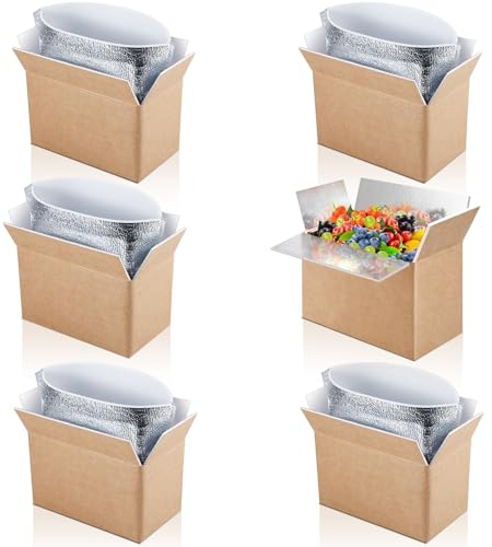 ausurme 6 Pack Double Insulated Shipping Boxes with Aluminum Foil Insulated Bag, Cold Shipping Boxes for Frozen Food Packing Mailing, Inside 9 x 6 x 5 in
