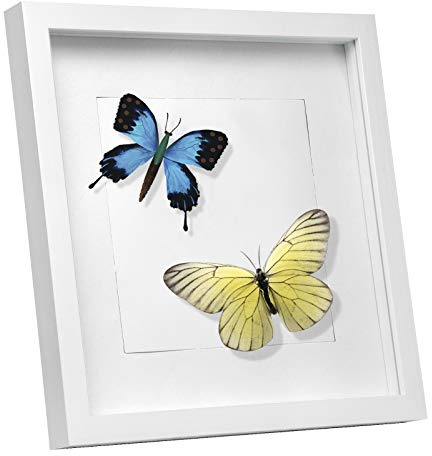 EUGAD 3D Bilderrahmen zum befüllen, 20x20 cm, Weiß, 1.5cm Tiefer | 3D Objektrahmen, Tiefer Rahmen für Wand- & Tischrahmen, Shadow Box für Fotos, Hochzeitsstrauß, DIY Kunstwerke