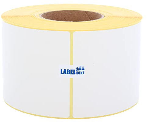 Versandetiketten DHL, DPD, Fedex, GLS, Hermes, UPS - 4x6 Zoll - 101,6 x 152,4 mm - 1.000 Thermo-Eco Papier Etiketten auf 1 Rolle(n) mit 76 mm Kern, Thermodirekt Etiketten selbstklebend
