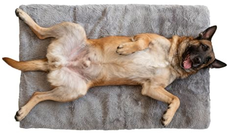 Generisch Großes Warmes Hundebett,Großes Beruhigendes und Komfortables Sofakissen - Hundetransportbox Und Hundezwinger Schlafmatte | Für Wohnung Studentenwohnheim Zuhause Wohnzimmer