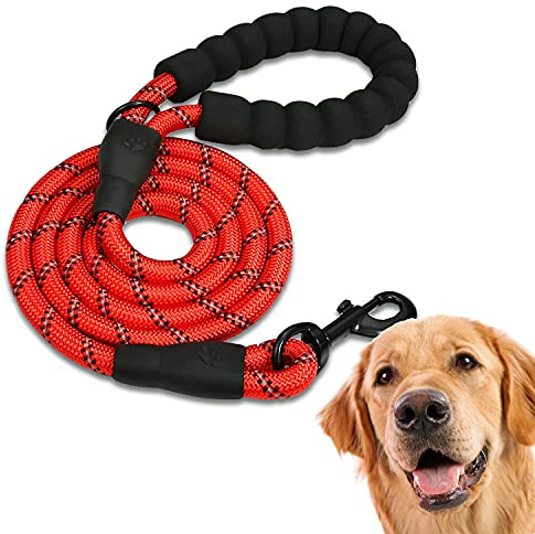 EDIPETS, Laisse Chien, Laisse de Dressage pour Chien, Rembourrée, Poignée Souple, Corde pour Chiots et Petits, Moyens et Grands Chiens, 1,2 et 1,5 mètres. (1.5 M, Rouge)