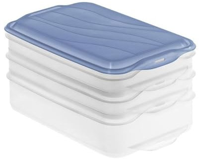 Rotho Aufschnittsbox 3 Fächer blau