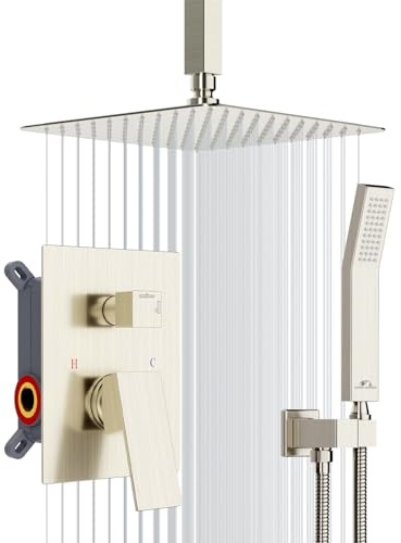 Système de douche au plafond 10 Inch nickel brossé