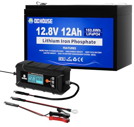 DCHOUSE LiFePO4 Battery Set 12V 12Ah mit 5A Ladegerät, DC Anschluss