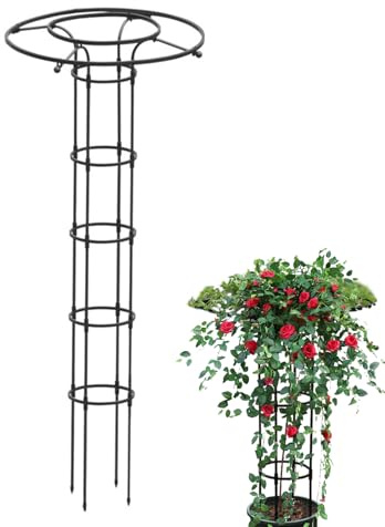 Treillis de jardin pour grimpantes | Cadre de support pour grimpantes | Tour de treillis vertical de type parapluie | Tour de grimpantes | Support d'escalade pour la gloire du