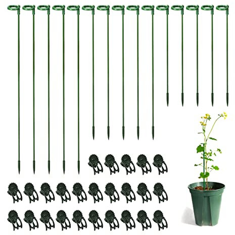 30 Stück Pflanzenstützstäbe mit 30 Stück Pflanzenhalterungen, Pflanzstütze für Garten, Blume, Phalaenopsis Orchidee, Blumen, Rosen, Amaryllis