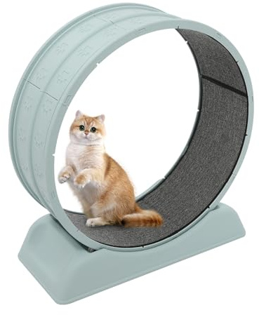 Katzenlaufrad 80cm Katzen Laufrad mit Lockstab – Geräuscharmes Laufrad für Katzen bis 10kg, Sicherheits-Schnalle, Ideal gegen Übergewicht & für Indoor-Bewegung (Blau)