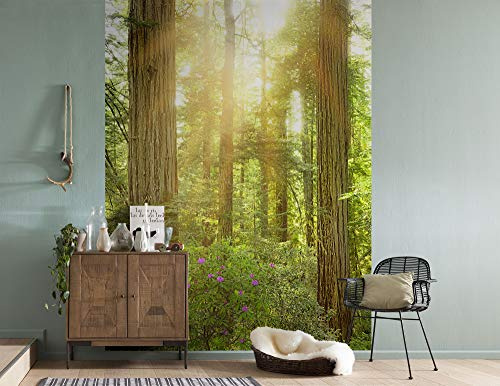 Komar X4-044 Fotomural, Verde, Azul, Amarillo, 200 x 260 cm (Breite x Höhe)