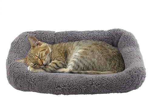 Billionchains Cat Bed Washable Indoor Cat Cushion Bed, Soft and Cozy Plush Pet Bed-S