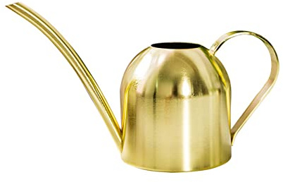Anawakia Annaffiatoio in acciaio inox con beccuccio lungo, annaffiatoio moderno per piante (500 ml, dorato)