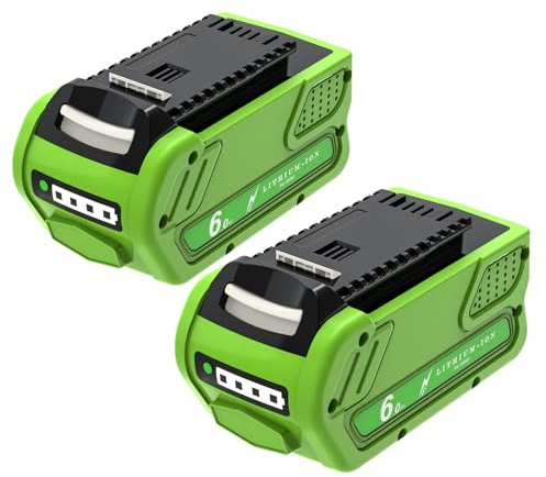 2X 40V 6000mAh Batterie de Remplacement pour GreenWorks Batterie Compatible avec 29462 29472 29252 25312 25322 20202 20642 21242 22272 27062