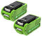 2X 40V 6000mAh Ersatzakku für GreenWorks Akku Kompatibel mit 29462 29472 29252 25312 25322 20202 20642 21242 22272 27062 Akku-Elektrowerkzeuge