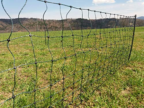 Landkaufhaus Mayer Kaninchenzaun 55cm Höhe | Kaninchennetz | Hasenauslauf | Elektronetz | Kleintiernetz | Hasenzaun (15m)