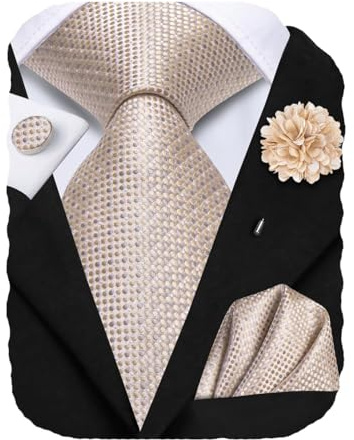 Hi-Tie Men's Wedding Tie Set And Pocket Square Jacquard Woven Silk Necktie Cufflinks With Lapel Pin For Party Prom