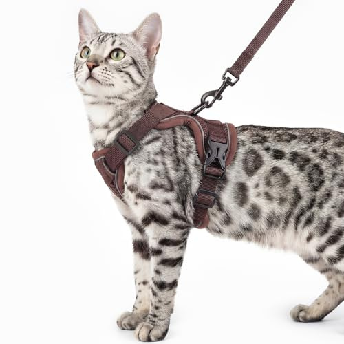 pangdi Katzengeschirr und Leine, ausbruchsicher, taktisches Geschirr für kleine Kätzchen, emotionale Unterstützung, Katzenweste, Braun, Größe S