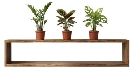 Kit DECOALIVE Style Naturel | Zamioculcas, Maranta et Monstera Adansonii Le Trio Parfait pour Un intérieur Plein de Vie