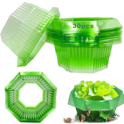Taechalingo 30 Stück Schneckenkragen,Schneckenkragen Aus Plastik,Schneckenschutz,Schneckenschutzringe,Schneckenringe Garten Effektiver Schneckenschutz für Ihre Salatpflanzen Hängende Tomaten