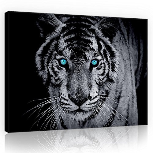 WallArena Leinwandbild Tiger Tiere Schwarz Blau 80x60 cm | für Wohnzimmer, Modern Bilder Groß XXL Wandbild Kunstdruck Wandbilder Canvas Desing Wand Bild auf Leinwand Aufhängefertig