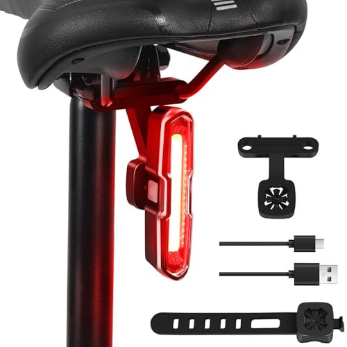 Luce Bici Posteriore 110 Lumen Potente - Luci Bicicletta Led 5 Modalità Rosso/Blu, Impermeabile IP64, Ricaricabile USB C, Supporti a Sgancio Rapido per Sella & Reggisella, DONPEREGRINO B2