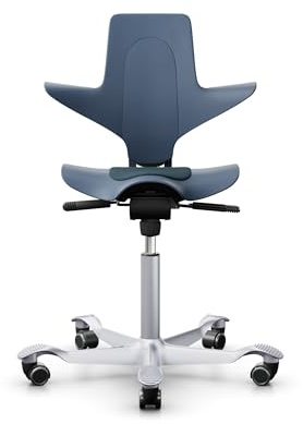 HAG Capisco 8010 Puls Silla giratoria de oficina (cuenco: gris claro, estructura: negro)