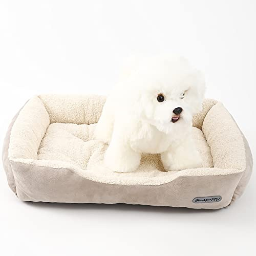 Nyescasa Hundebett Katzenbett Katzenkissen Hundekissen Hundesofa Katzensofa Hundematte Hundecouch Hundekorb Haustierbett für Mittelgroße Hunde Katzen Weich Waschbar Orthopädische Beige M(53*42*11)