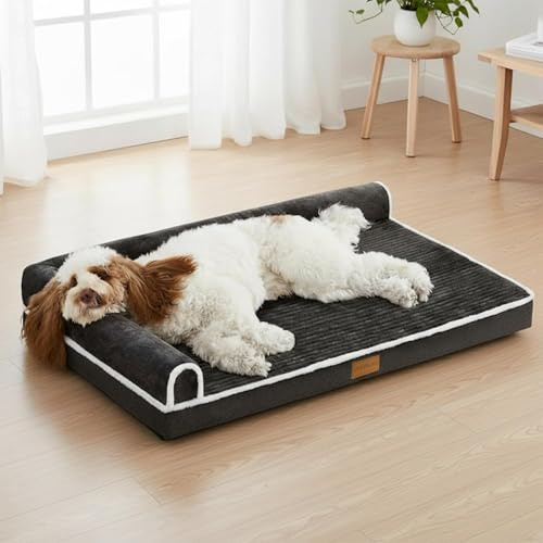 Jolibean ortopedisk hundbädd, medelstor hund 76 x 51 cm, vattentät, bekväm, L-stöd medium halkfri mjuk varm husdjurslåda, säng sömn, soffmatta med avtagbart tvättbart överdrag, svart