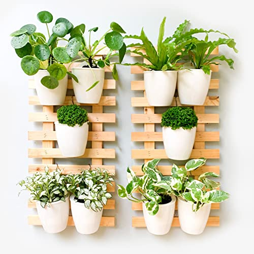 ShopLaLa Wooden Wall Planter - 2 Pack Wall Hanging Planters for Indoor Plants Ladder Wall Mount Natural Wood Holder Flower Pots Vertical Living Balcony Unique Large Green Plant Decor 23.6 (60cm)