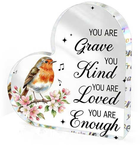 Robin Memorial Gifts, Robin Acrylic Keepsake Gifts, Robin Positive Encouragement Gift for Women Men, You Are Brave Acrylic Plaque, Motivational Desk Decorations for Home Bathroom and Bedroom