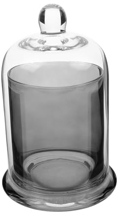 STOBAZA Cloche Verre Transparente avec Socle pour Fleurs Stabilisées Couvercle Décoratif pour Bougies Projet De Loisirs Créatifs