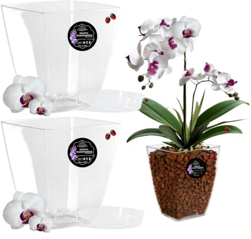 LiveLaif - 2 Maceta Orquidea Transparente Rectangular 14x14x15 cm + Plato Maceta | Macetas Plastico | Macetas para Orquídeas Transparente | Macetero Orquidea | Elegir Tamaño y Unidades