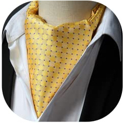 HISDERN Krawattenschal Herren Hochzeit Ascot Krawatte Gepunktete Elegant Business Halstuch