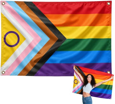 Bandera Del Orgullo Gay 90x150cm, Bandera LGBTQIA2 con 4 Ojales de Latón, Progress Pride, Bandera del Progreso para exterior, Material Poliéster, Impresión ambas caras
