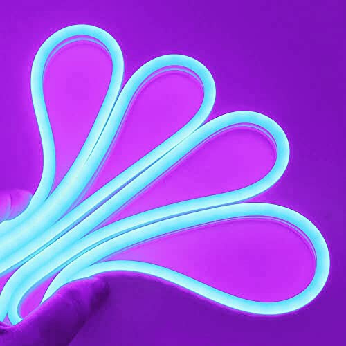 Partenopea® Striscia Strip Led Effetto Neon Flessibile e Tagliabile Tubo 5 Metri DC 12V (ALIMENTATORE NON INCLUSO) Impermeabile IP65 da Esterno e Interno Modellabile (Viola)