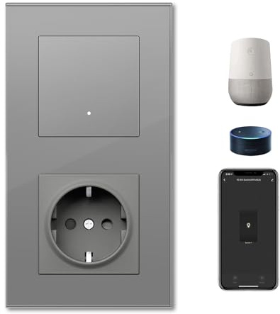 BSEEDLIFE WIFI Interruptor Inteligente Pared con Enchufe,1 Gang 1 Vía 157 * 86mm,Enchufe con Interruptor WIFI Commutador de luz Compatible con Alexa y Google Home(Aplicación Tuya/Smart Life),Gris