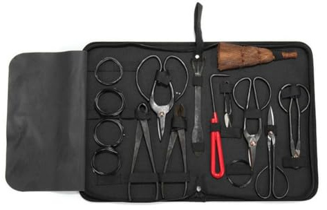 Genérico Kit De Herramientas para Bonsái Juego 10 Piezas El Cuidado Árboles Acero Al Carbono, Incluye Nailon Tijeras Podar,Herramientas Multifuncionales Peinado