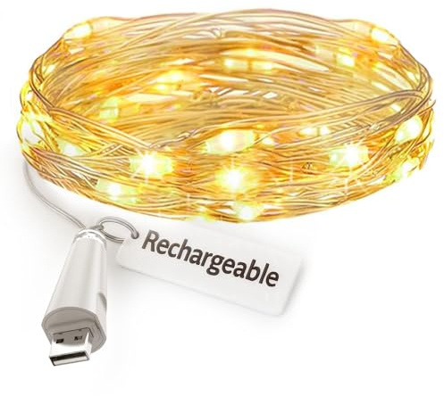 leegoal USB wiederaufladbare Lichterkette, 2m 20 LED Kupferdraht Lichter, Akku betrieben Wasserdicht Feuerfliegen-Stil für Schlafzimmer Innen/Außen Hochzeit Weihnachten Party(Warm weiß, 1er-Pack)