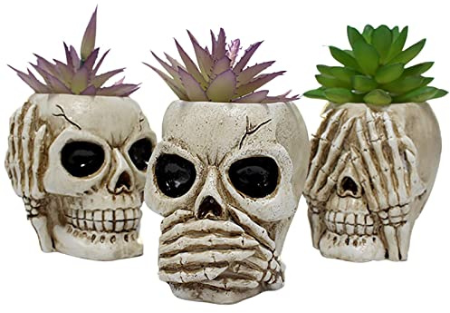 Fowybe 3 macetas con diseño calaveras, para plantas interior, divertidas macetas para decoración jardín casa, cactus, decoración para plantas suculentas.
