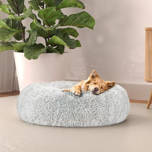 Italian Bed Linen Suave caseta Dreams para Perros y Gatos, Color Crema, 50 x 50 cm