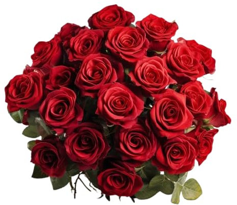 Ramo de Rosas Rojas Natural con 25 Flores de Color Puro y Elegante Rosas para Regalar