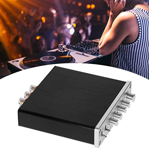 SustVita 100W Digital Power Amplifier, DC12V - 24V Aluminum Alloy Home Audio Amplifier for HiFi Stereo Speakers