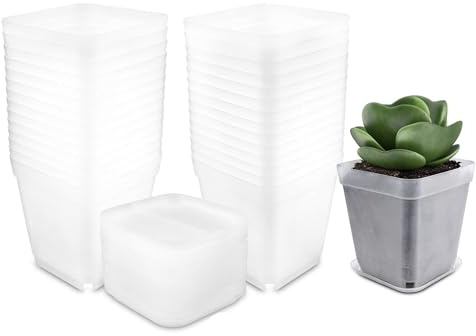 Luckwaii Odlingskrukor, transparent växtkruka med underlägg, 30 stycken blomkrukor, transparent plast, tjocka minikrukor, odlingskruka, kvadratiska, blomkrukor med dräneringshål för suckulentplantor