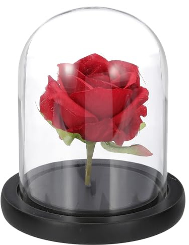 sourcing map Glass Cloche Display Dome, 5.1 x 3.9 Glass Dome Display Case Wood Base Tabletop Jar Case Decorative Bell Jar for Plant Home Decor Office Wedding Party, Black