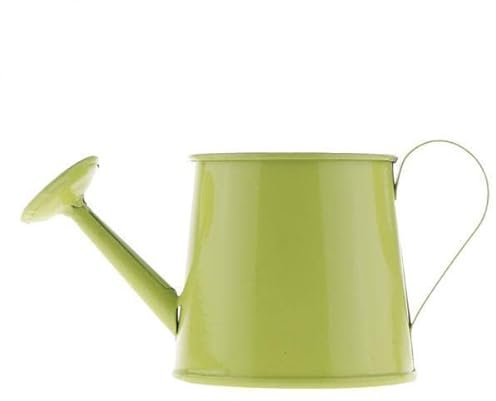 OQHAIR 4X annaffiatoio da Giardinaggio, annaffiatoio retrò in Latta e annaffiatoio zincato