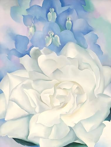 Georgia O'Keefe Poster Weiße Rose mit Rittersporn Leinwandgemälde Blumen Wandkunst Georgia O'Keefe Drucke für Heimdekoration, Bild, 50 x 70 cm, ohne Rahmen