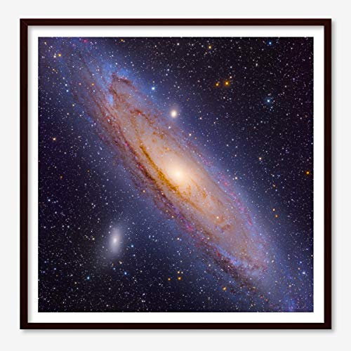 Astrography Kunstdrucke The Majestic Andromeda Galaxy - Poster Weltall Deko für Büro, Wohnzimmer Schlafzimmer - Geschenk zum thema Space, NASA und Astronomie (100 x 100 cm)