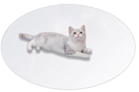 Bodenschutz für Haustiere, transparenter PVC-Katzenteppich, Kratzmatte, rund, wiederverwendbar, Welpenunterlagen, wasserdichte Haustier-Spielunterlagen für Hunde und Katzen (Durchmesser 100 cm,