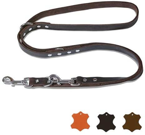 FREUDENTIER Hundeleine Leder 2m - Lederleine verstellbar - Führleine aus Fettleder für kleine, mittelgroße & große Hunde - Alsterufer Kollektion (Chocolate, 16mm breit)
