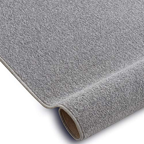 rugsx Teppich Eton für Wohnzimmer und Schlafzimmer Silber Grau 350x400 cm