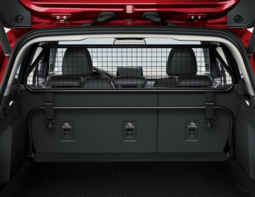 Ford Original Focus 2018-Aktuell Gepäckraum-Schutzgitter